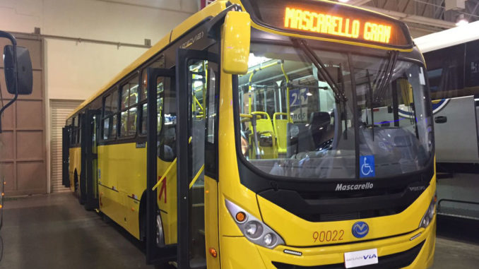 Mascarello aposta no ônibus de 15 metros