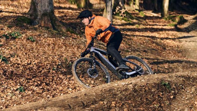 porsche ebike